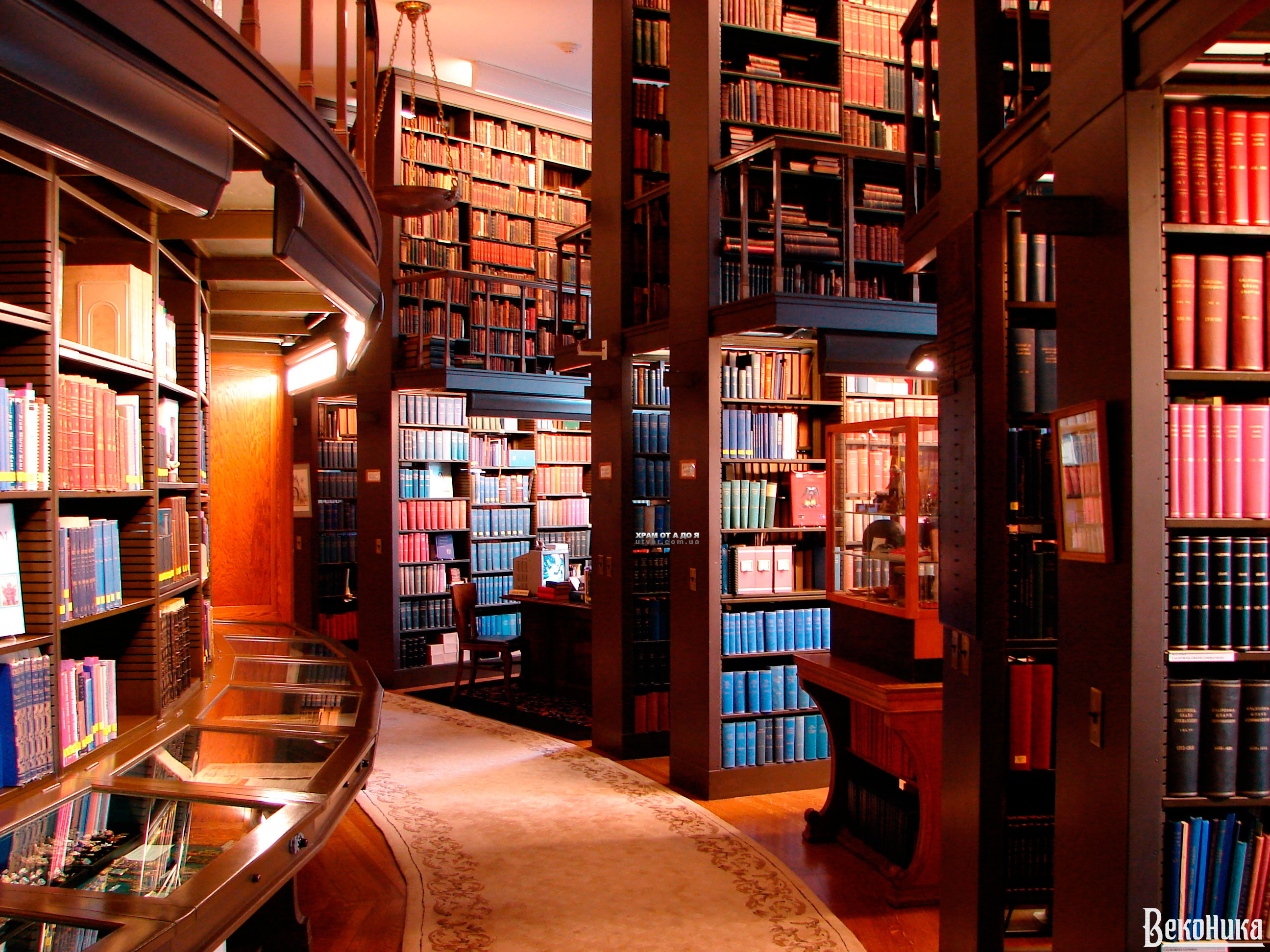 ������ ����