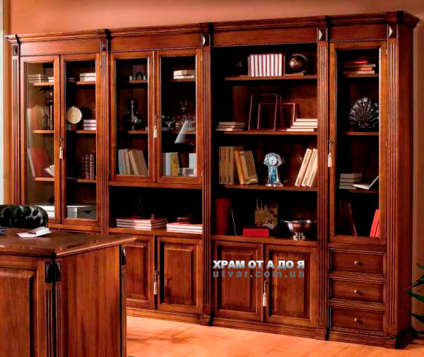 ������ ����