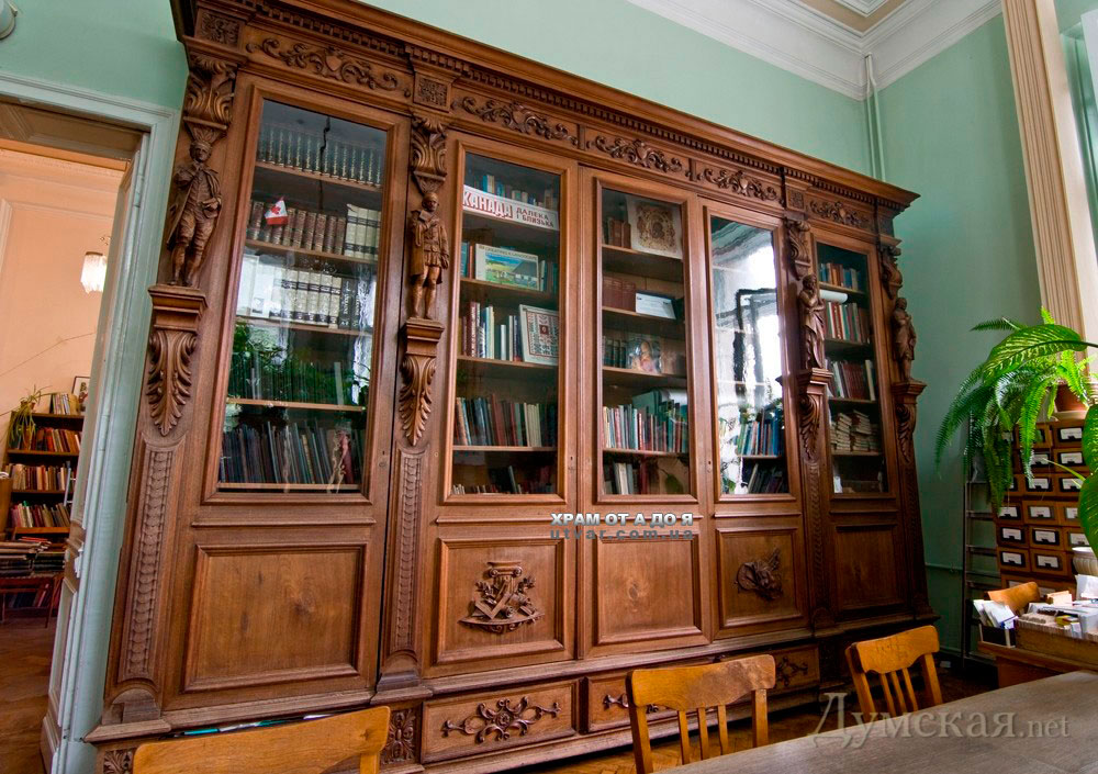 ������ ����