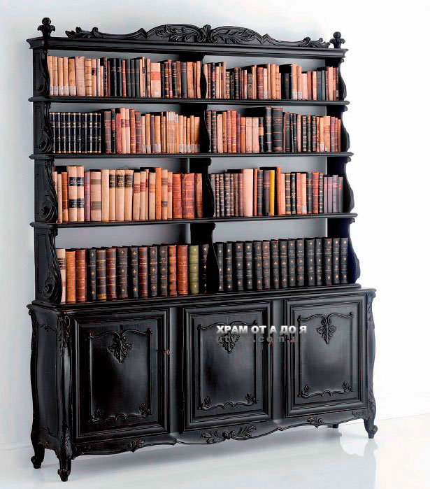 ������ ����