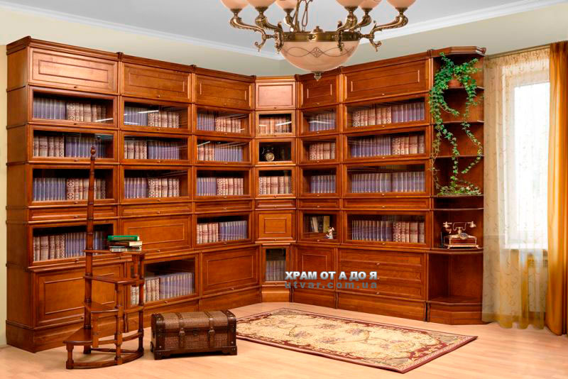 ������ ����