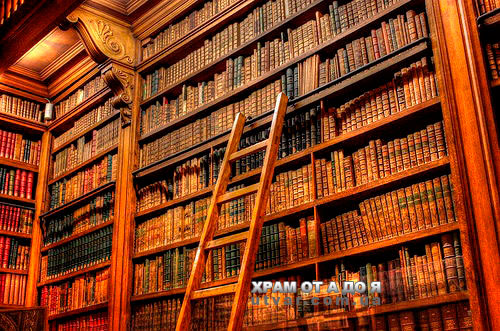 ������ ����