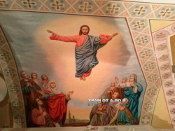 ������ �����