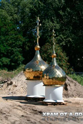 ������������ ������ ������