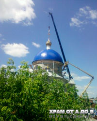 ������������ ������ ������