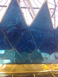 ����� ��� �����