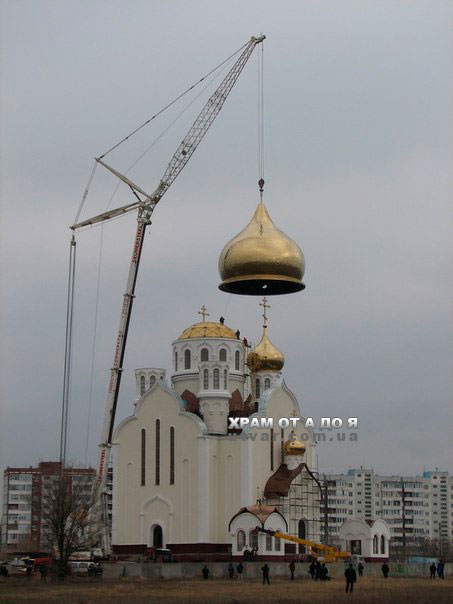 ������������ ������ ������