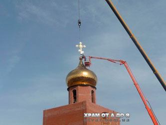 ������������ ������ ������