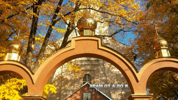 ������������ ������ ������