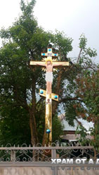 ������������ ������ ������