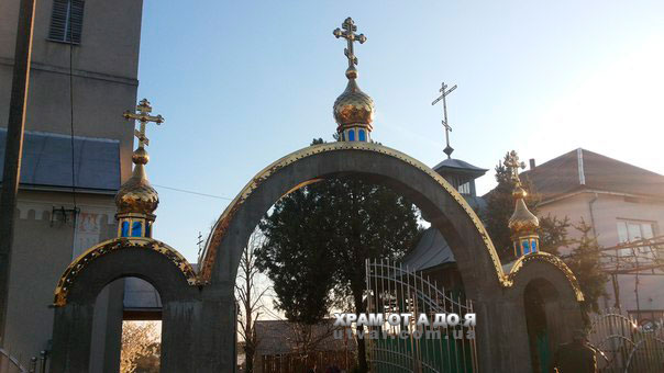 ������������ ������ ������