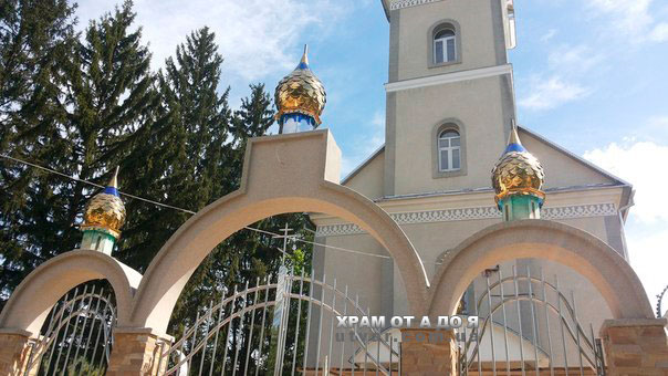 ������������ ������ ������