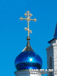 ������������ ������ ������