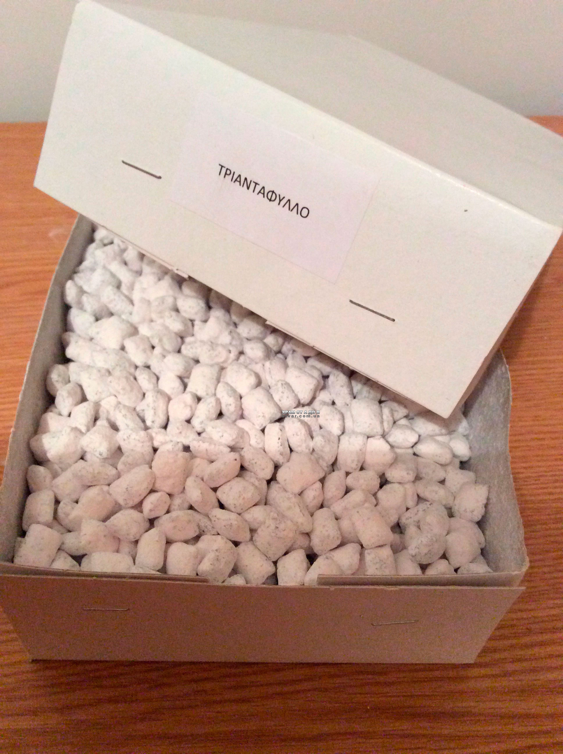 �������� ����� 1 ����