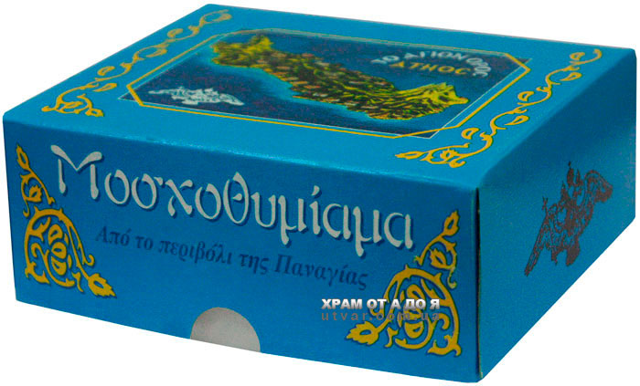 ����� ��������� ���������