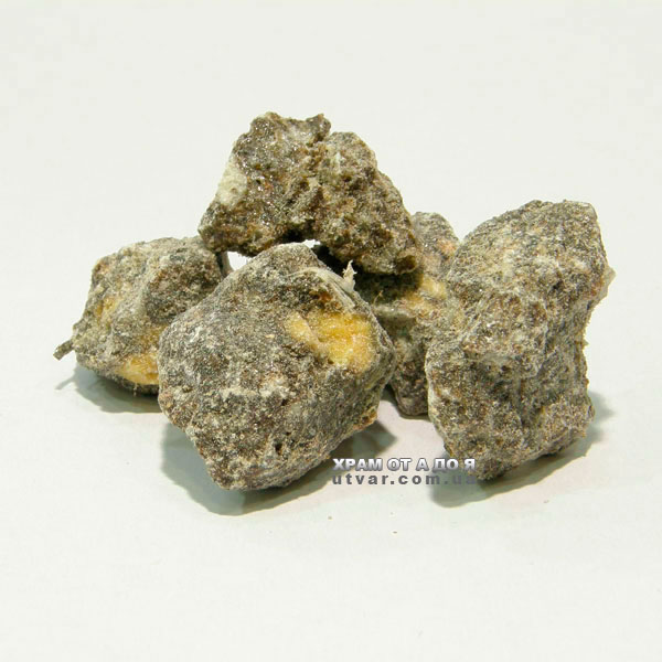 ������ �����