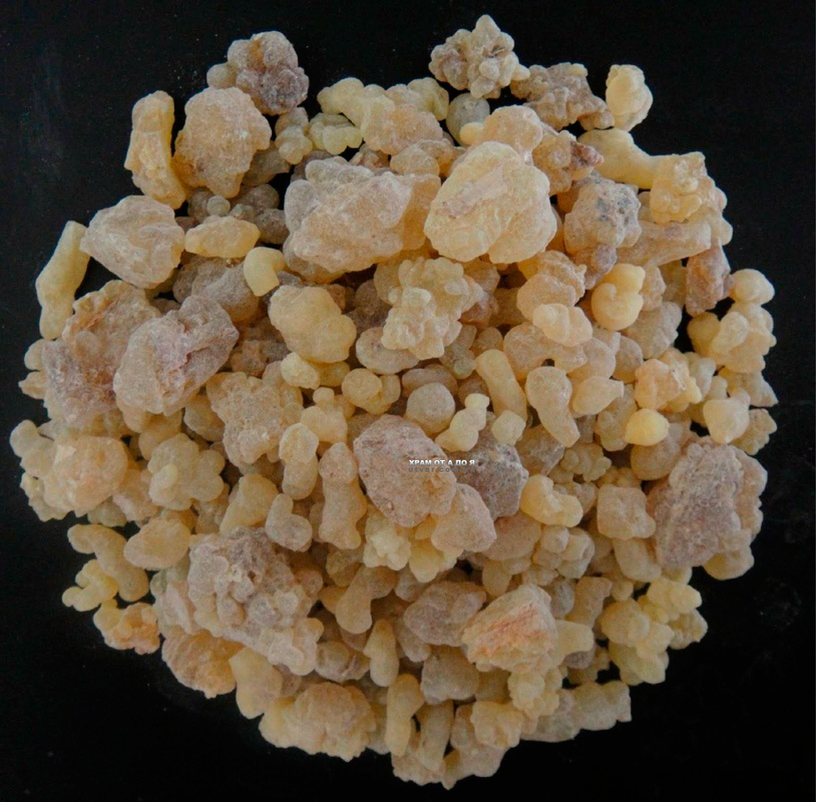 ����� ����������� (�����) 1 ����