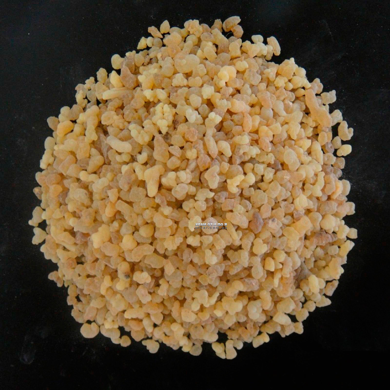 ����� ����������� (�����) 2 ����