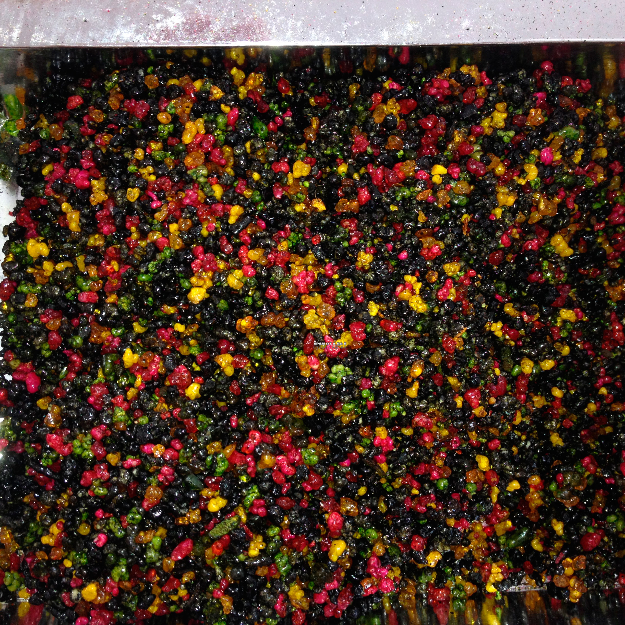 ����� ����������� ���������� ����