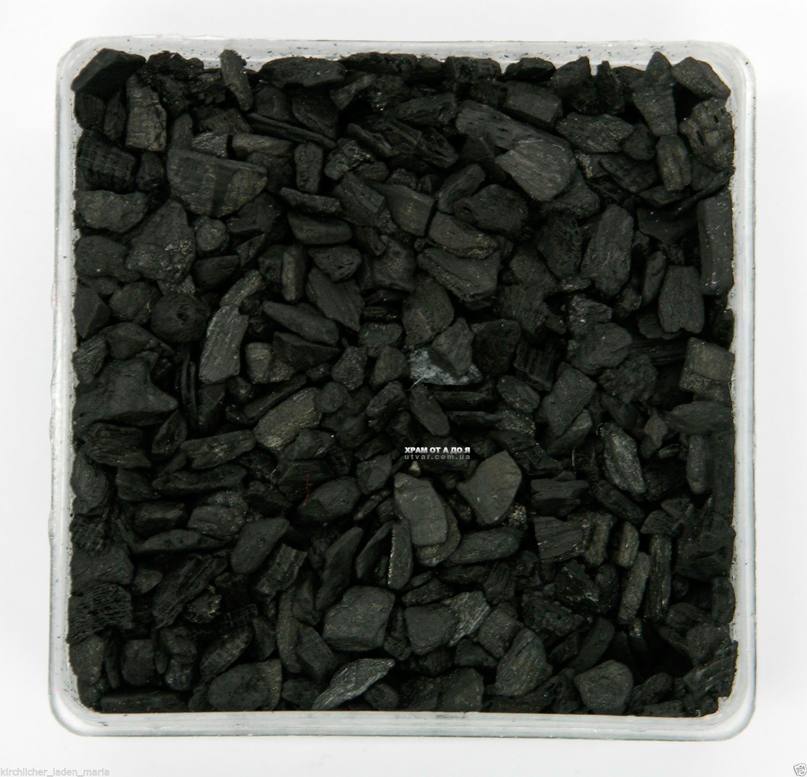 ����� ������� ����� �������