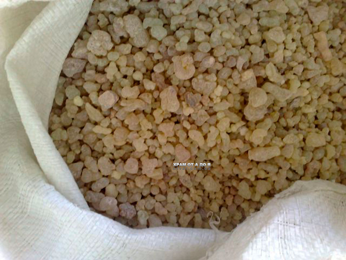 ����� �����������