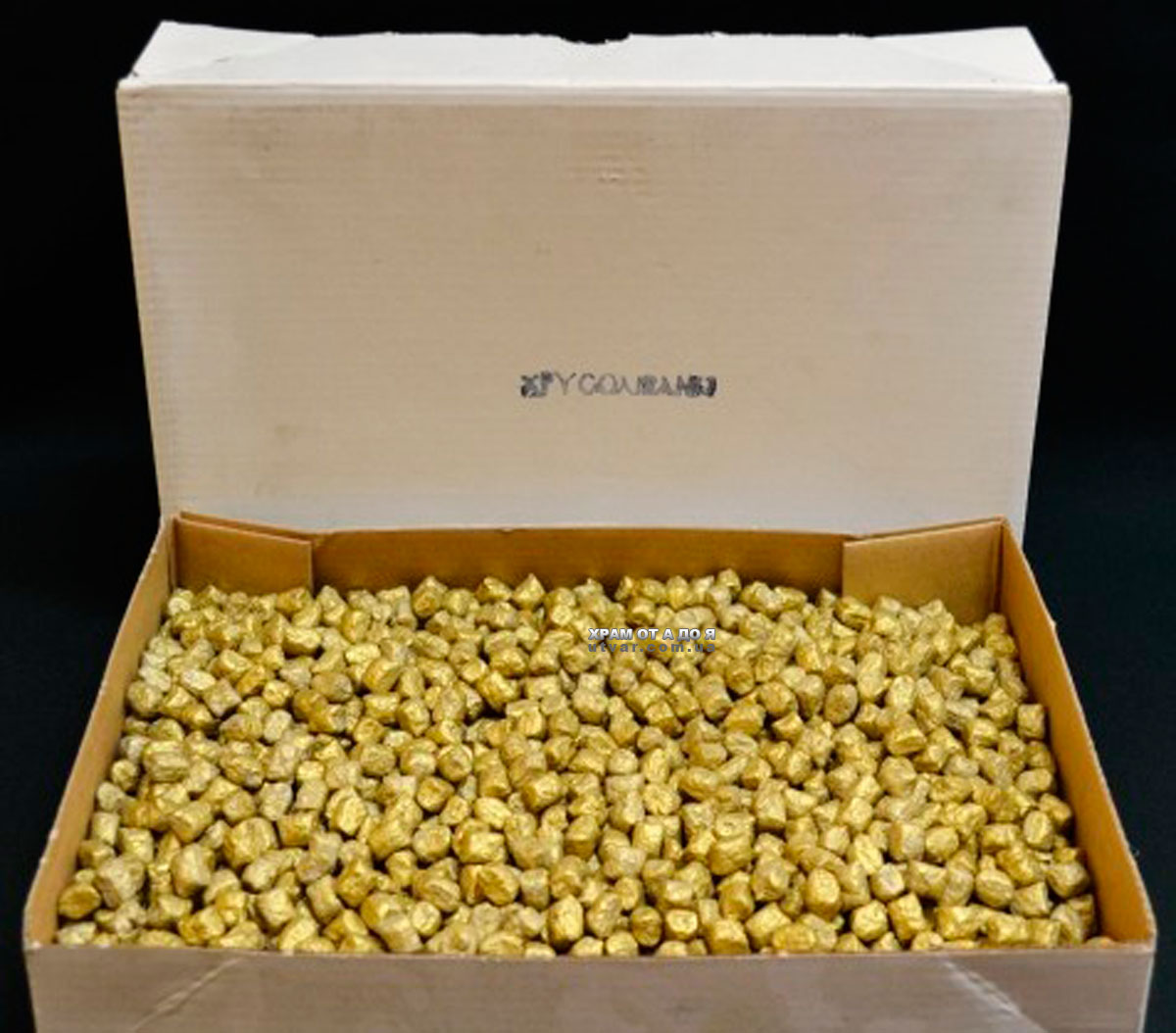 ����� �������� �������