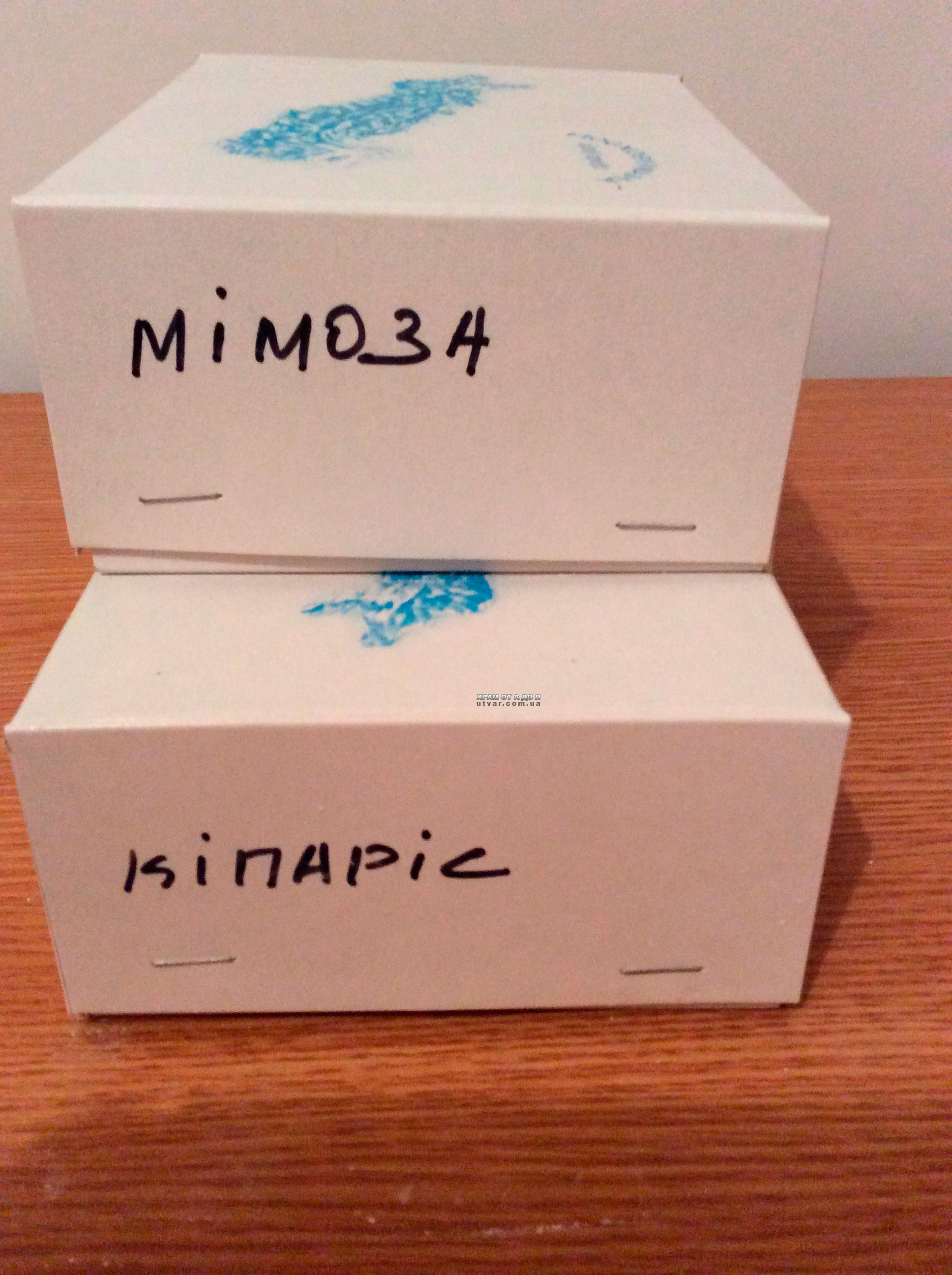 �������� ����� ����� ����