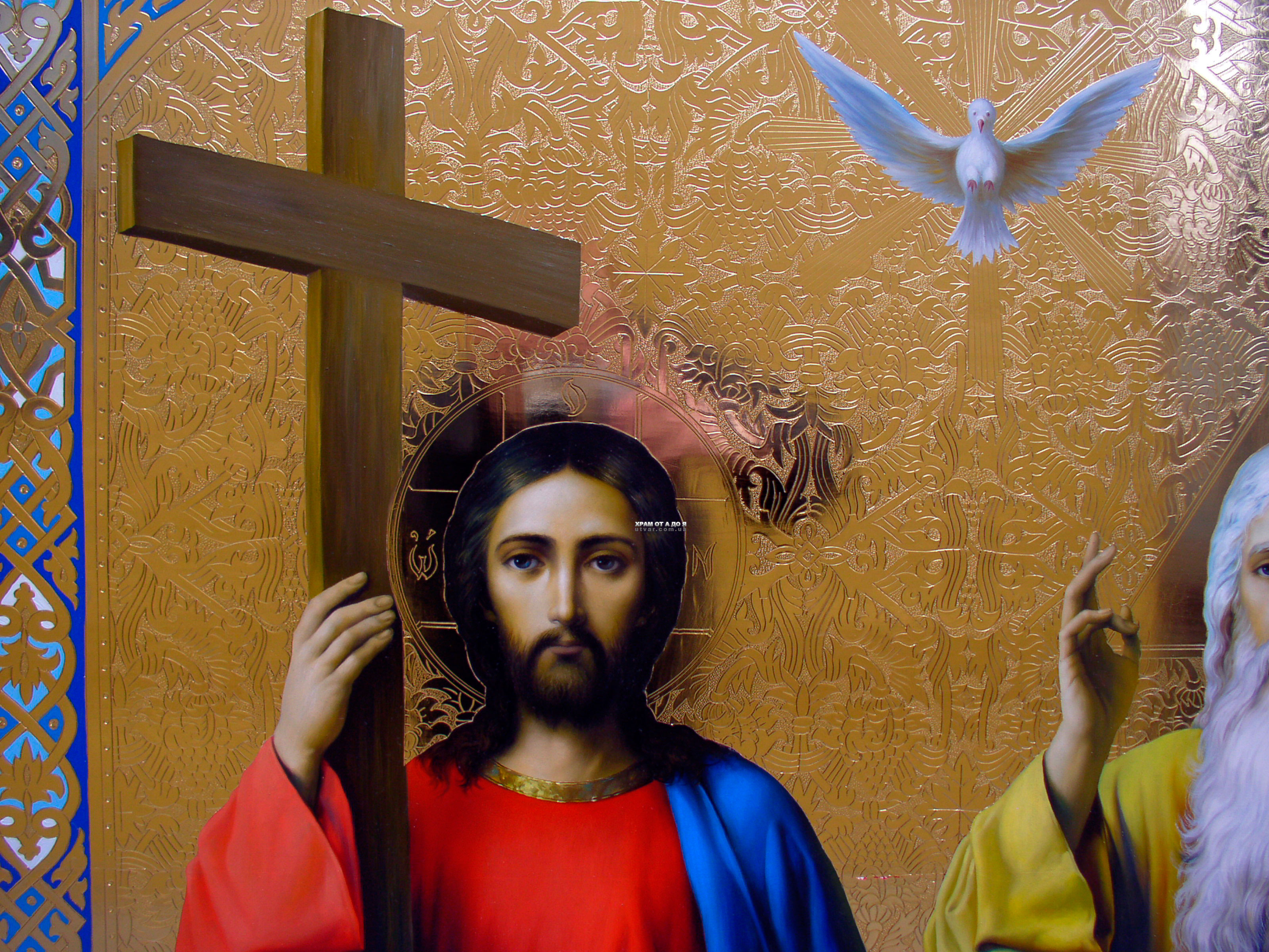 ��� ��������