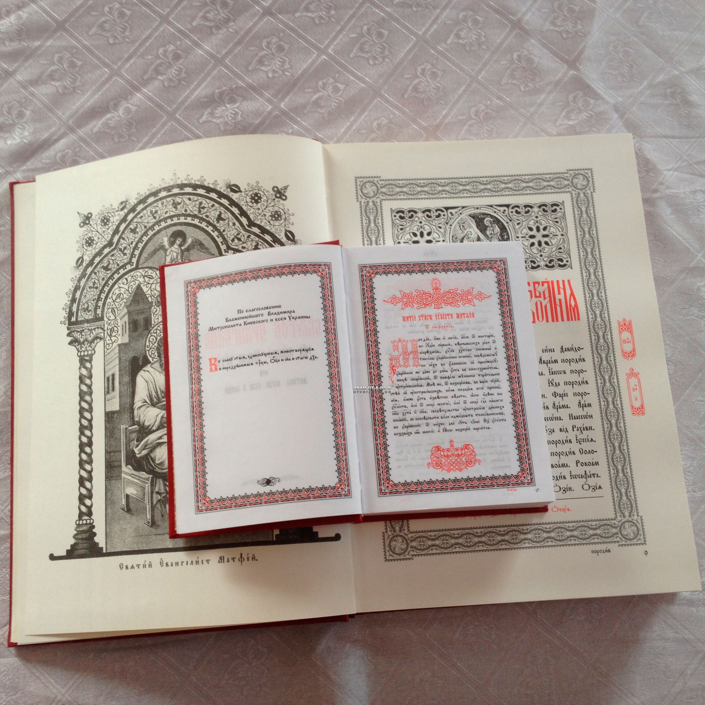 ������볺