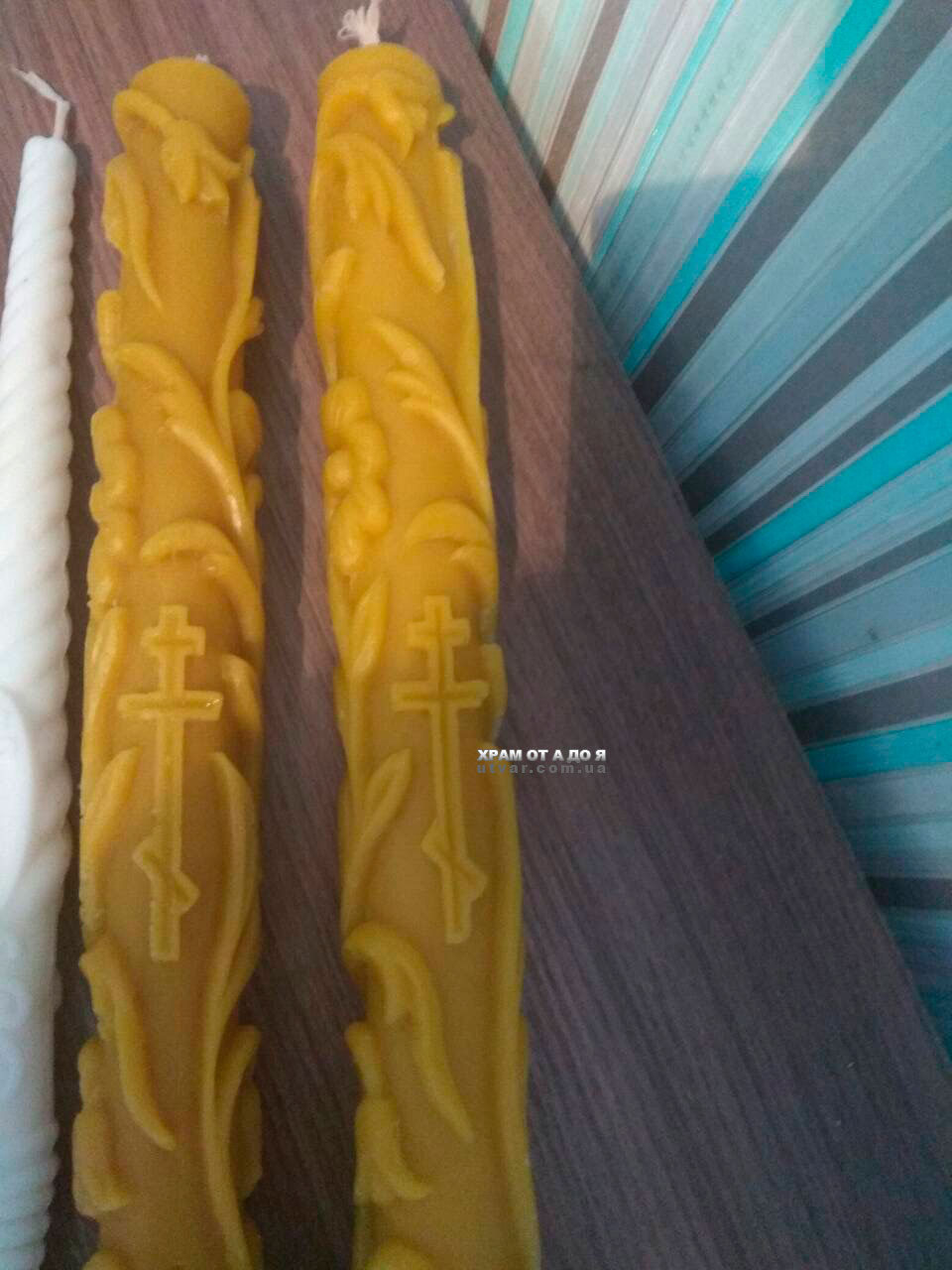 ³������� �����