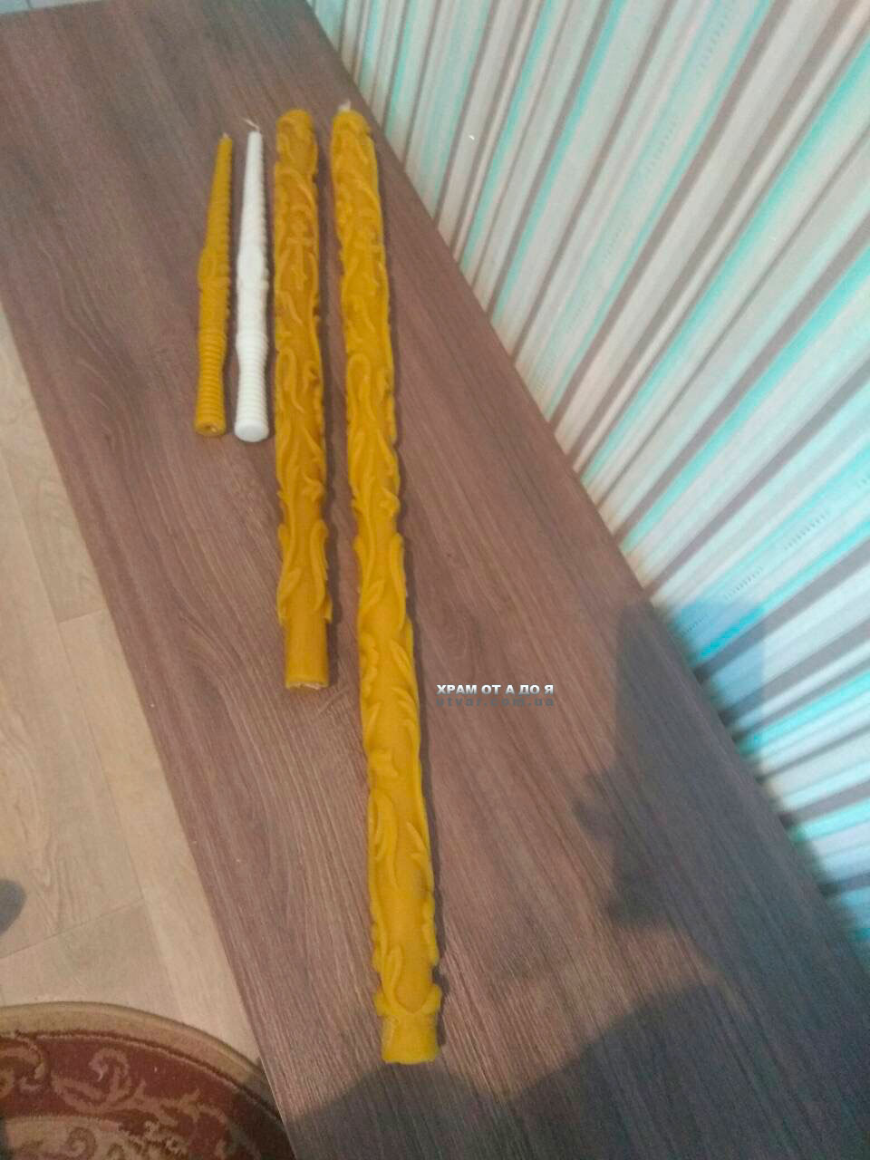 ³������� �����