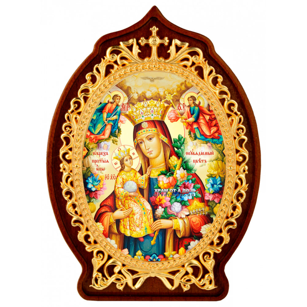 ����� �������� ������� ���������� ���������