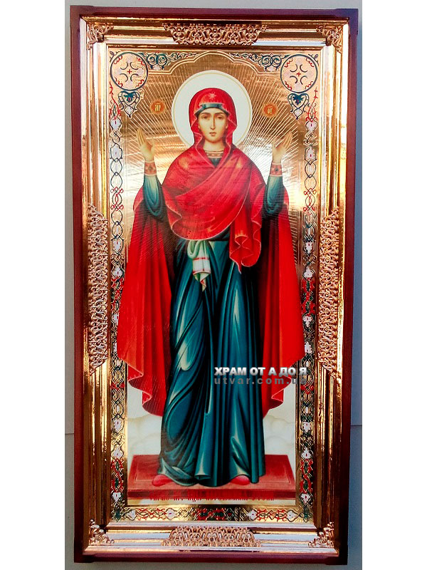 ����� ���� ����� ���������� ����