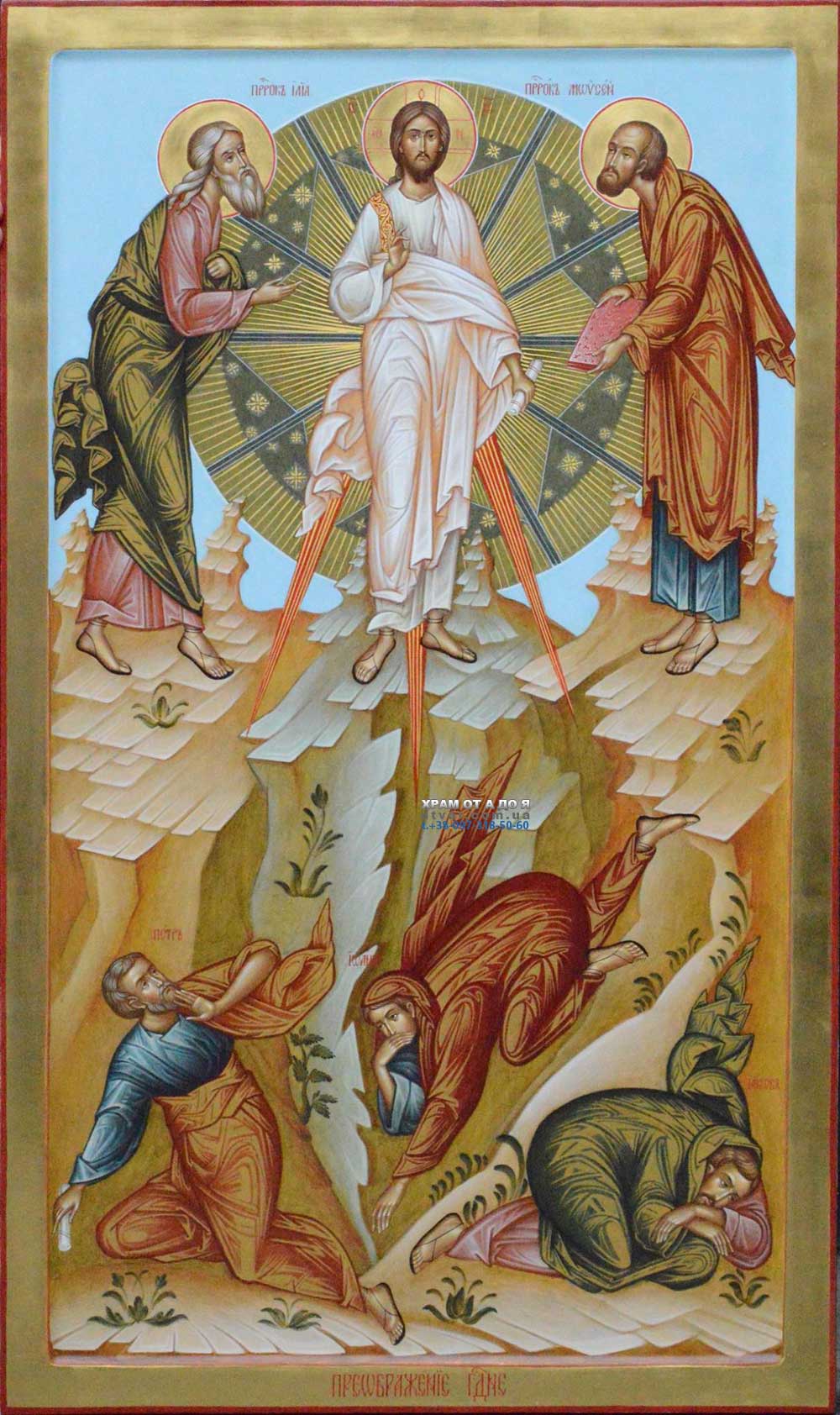 ������ ������ � ���������