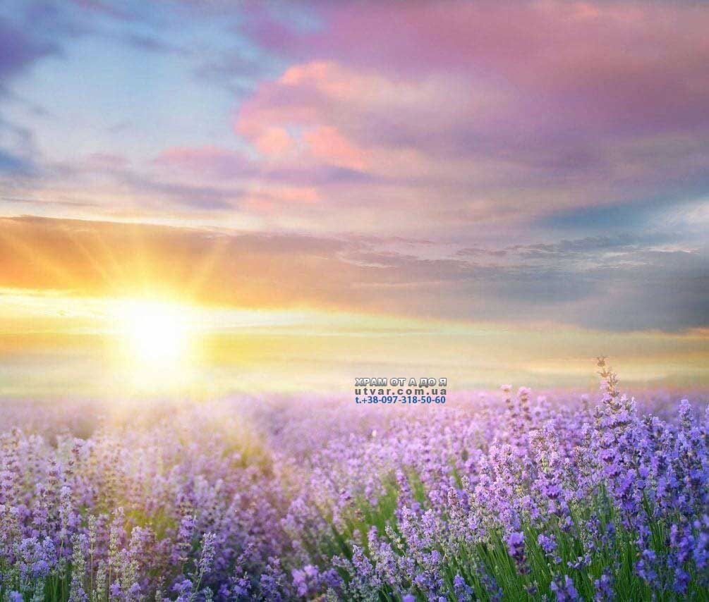 ����㳿 �� ������