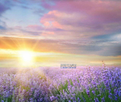 ����㳿 �� ������