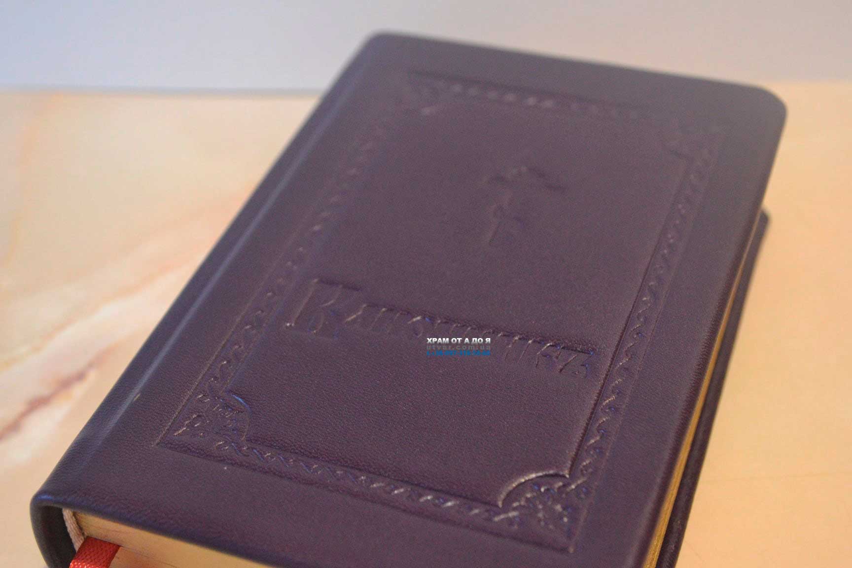 ��������� ����