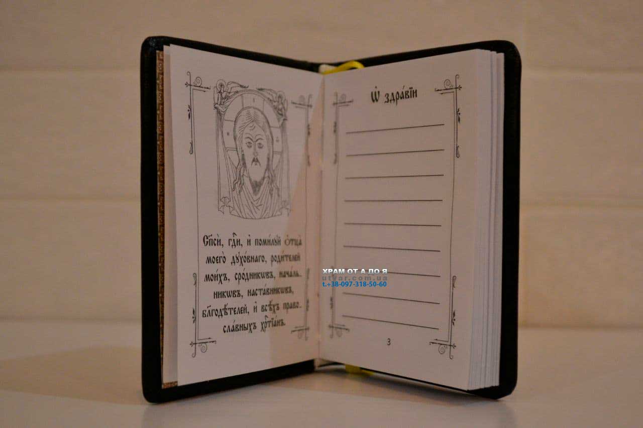 ��������� ����