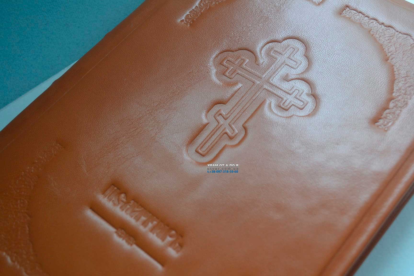 ��������� ����