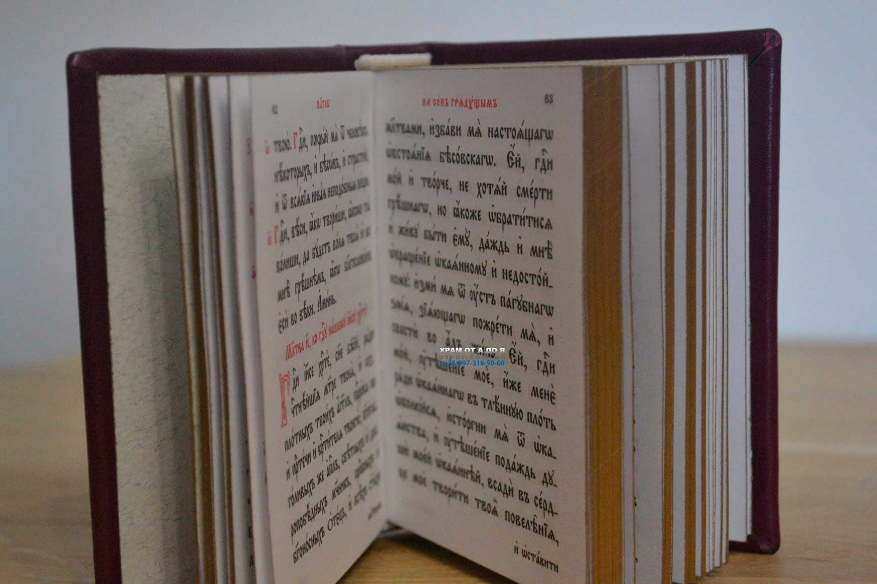 ��������� ����