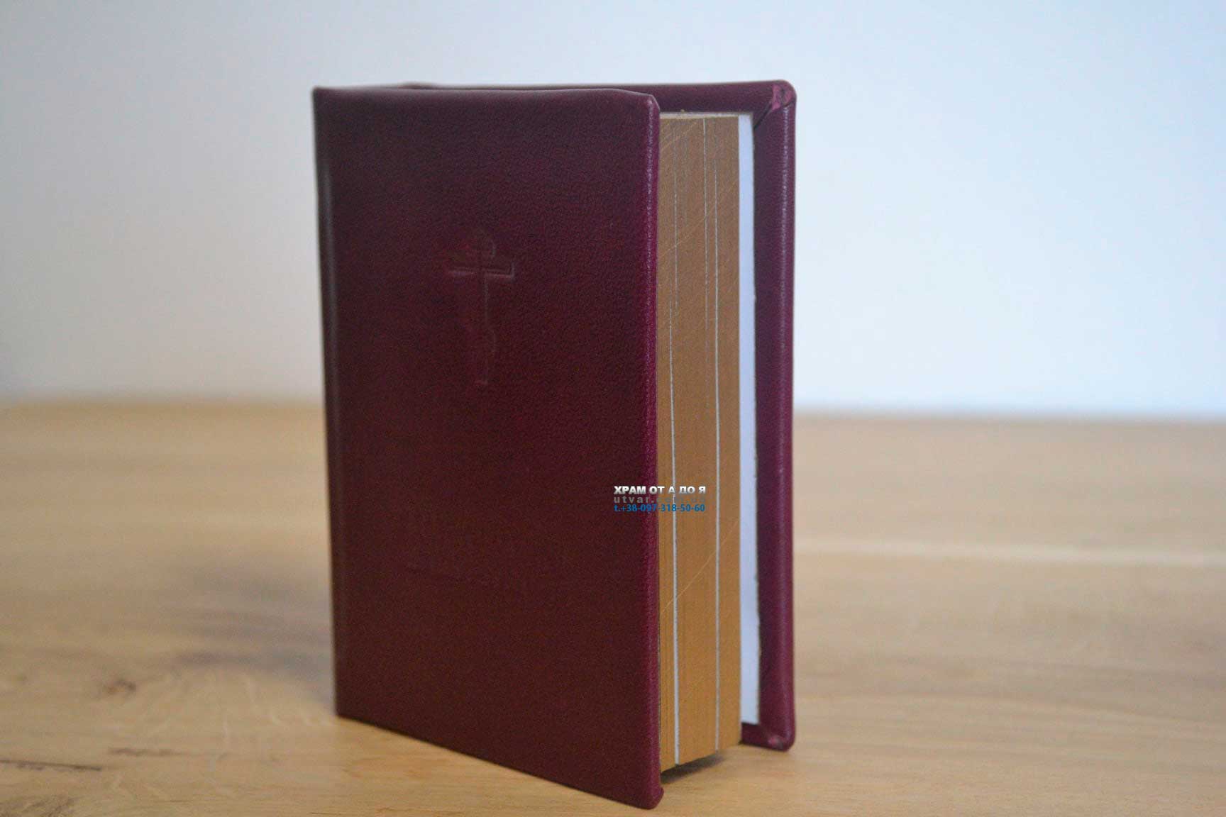 ��������� ����