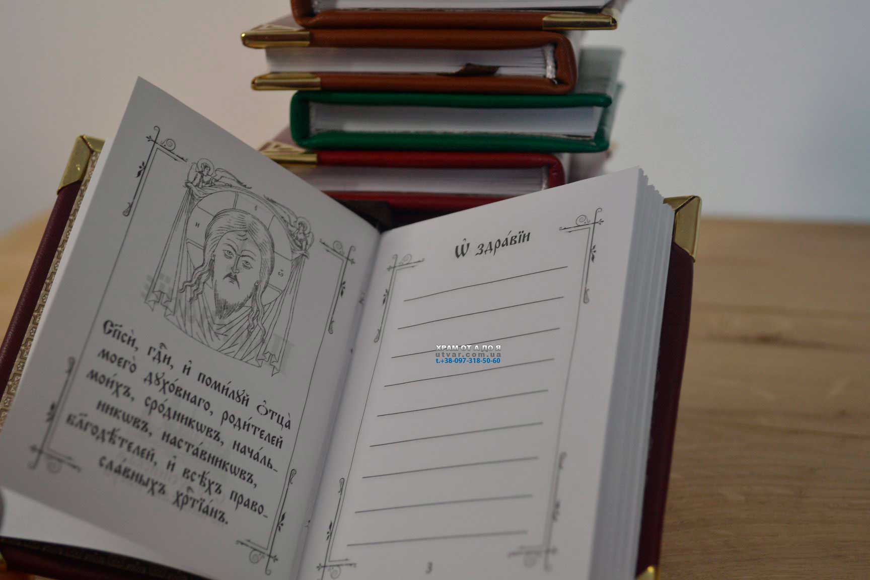 ��������� ����