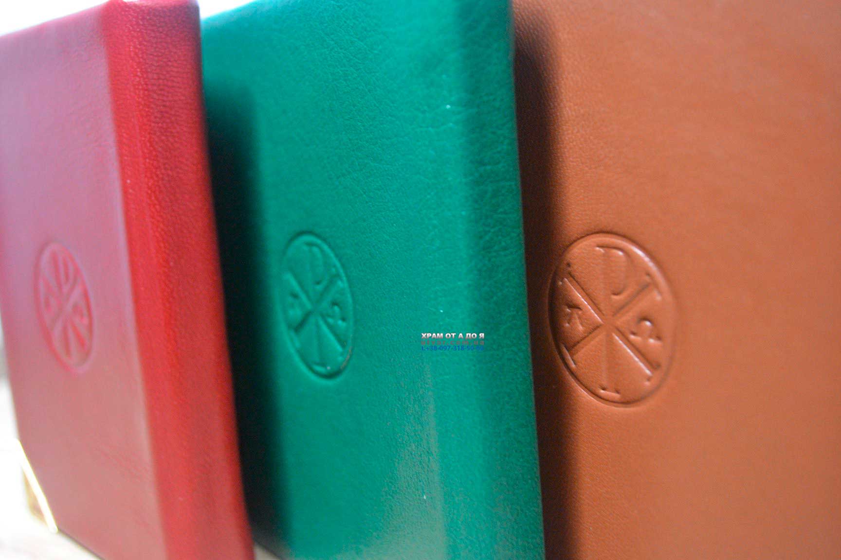 ��������� ����