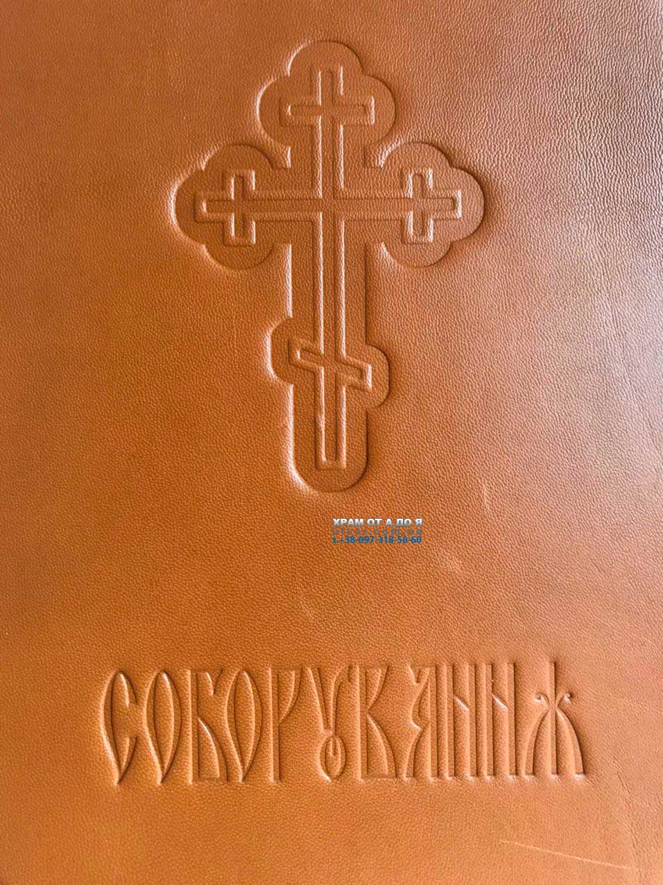 ��������� ����