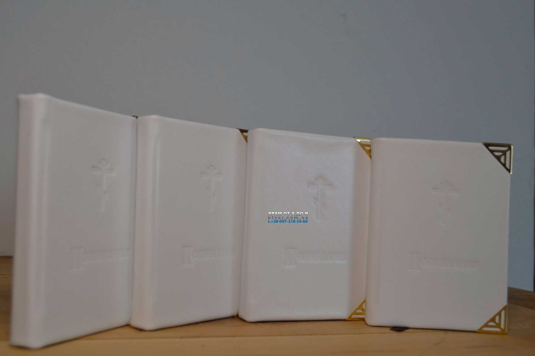 ��������� ����