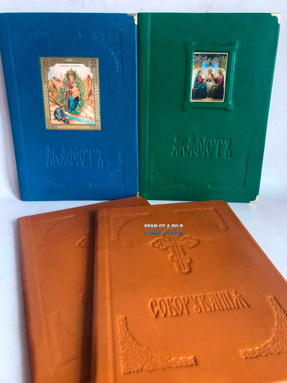 ��������� ����