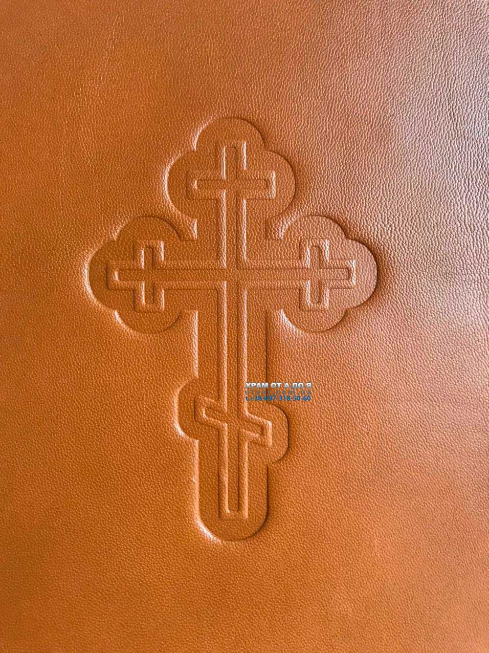 ��������� ����