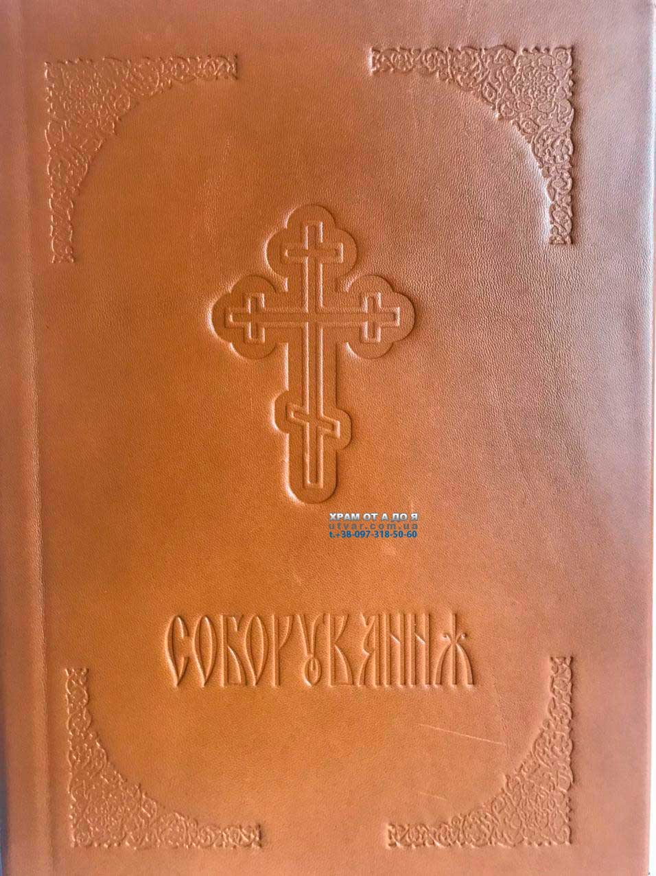 ��������� ����