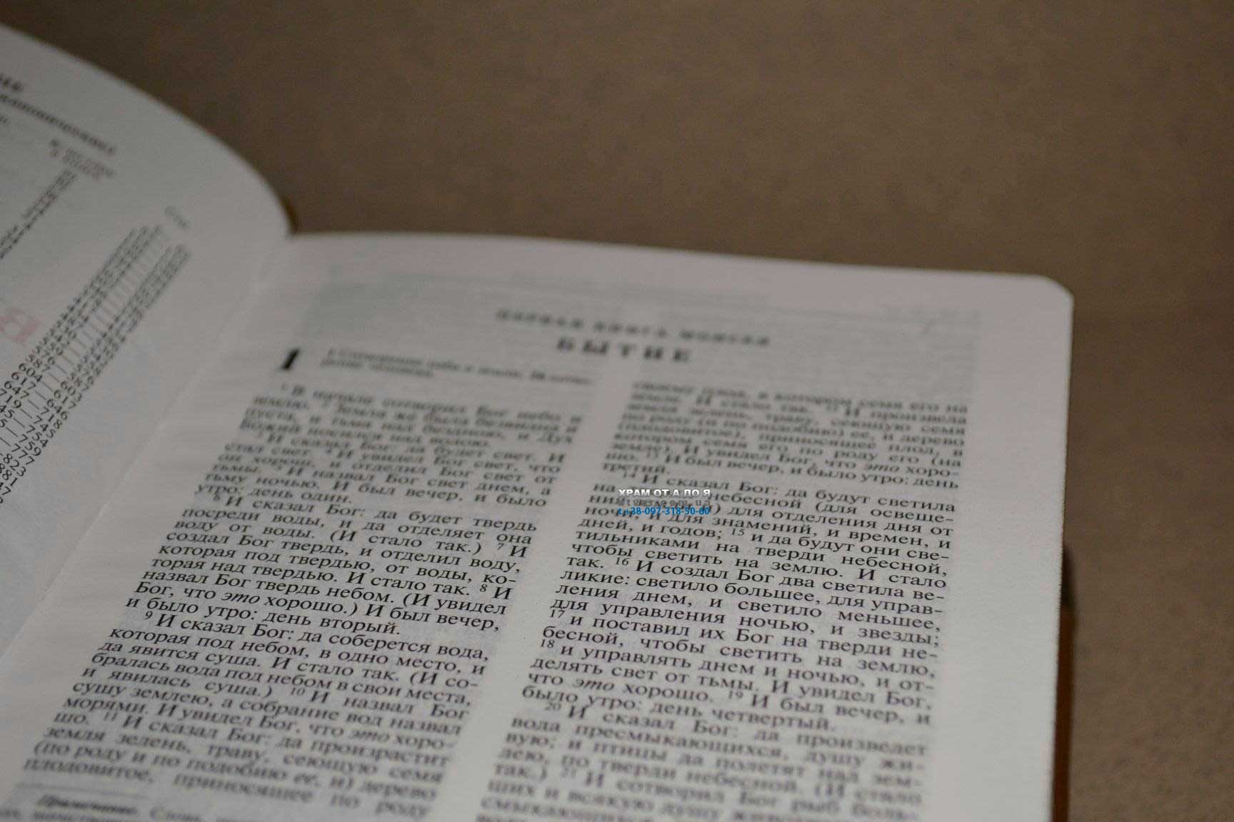 ��������� ����