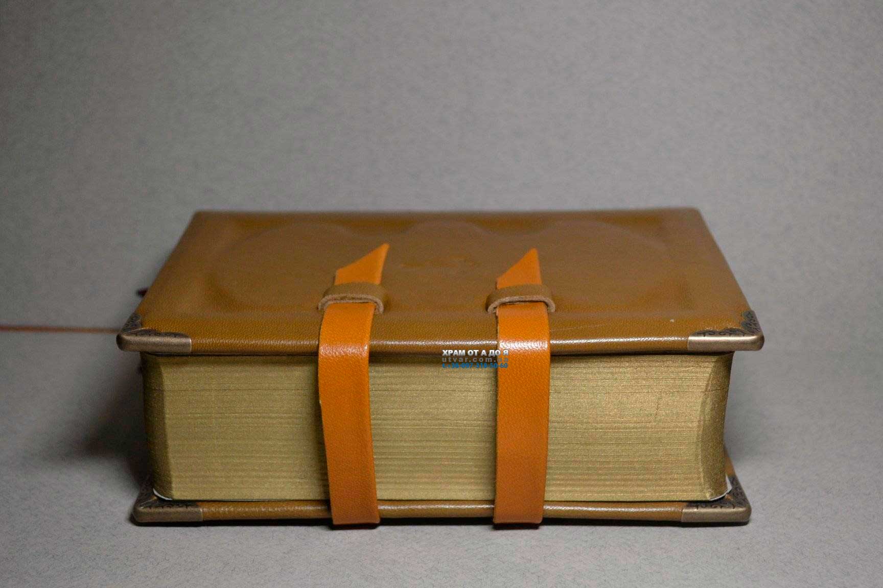 ��������� ����